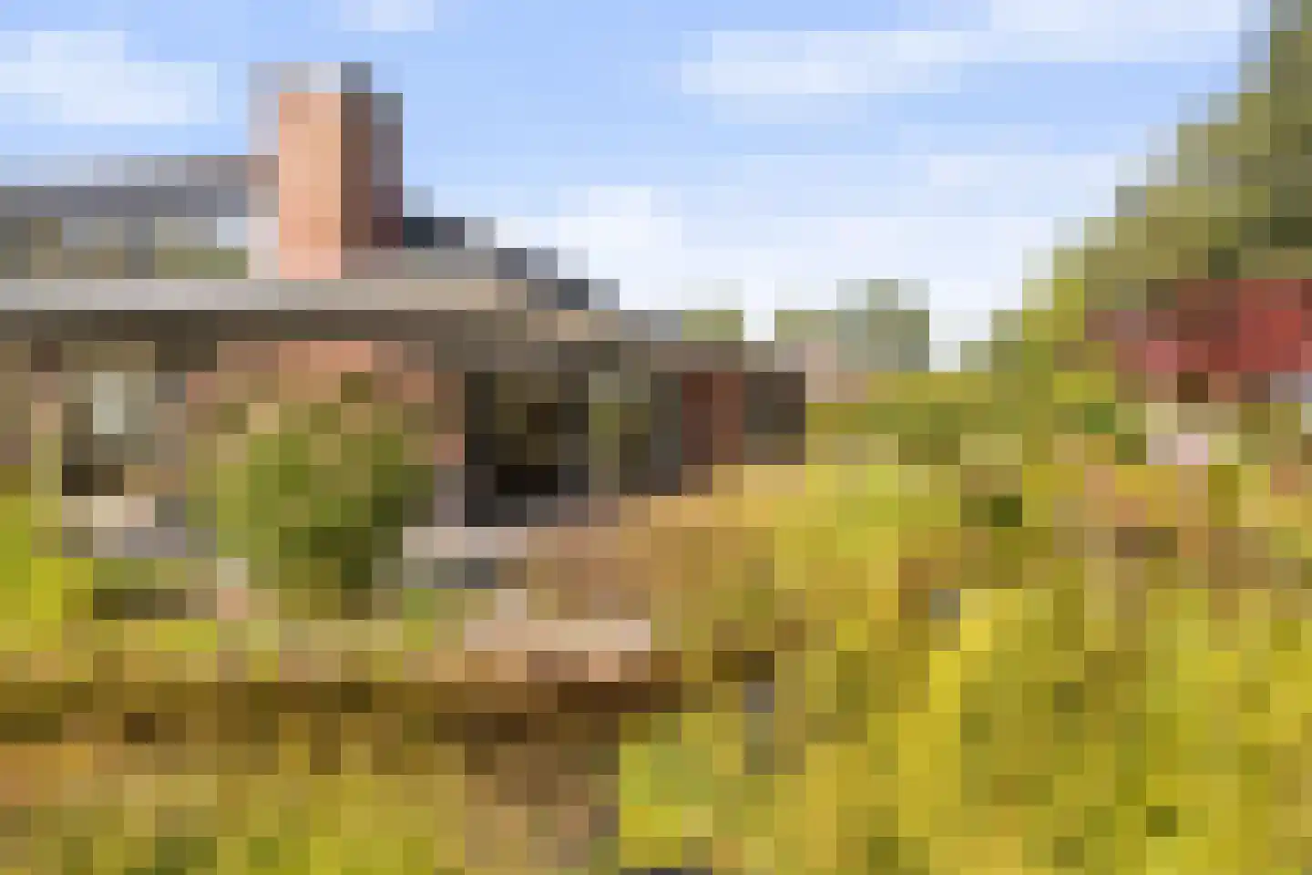 Boermaat 12 Westerbork thumbnail 38