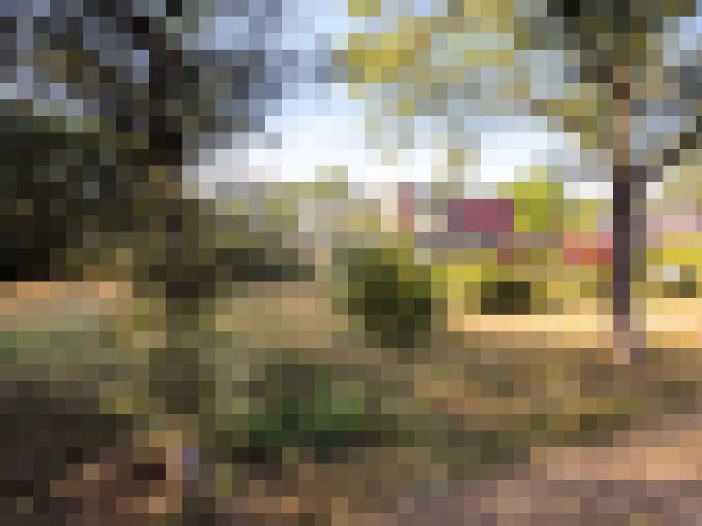 Boermaat 12 Westerbork thumbnail 42