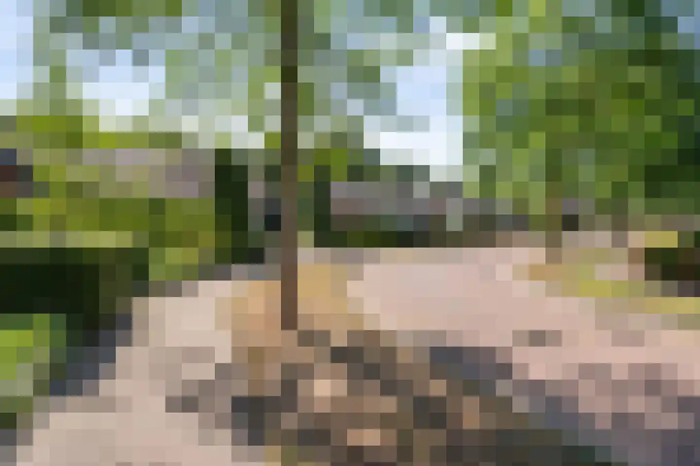 Boermaat 12 Westerbork thumbnail 44