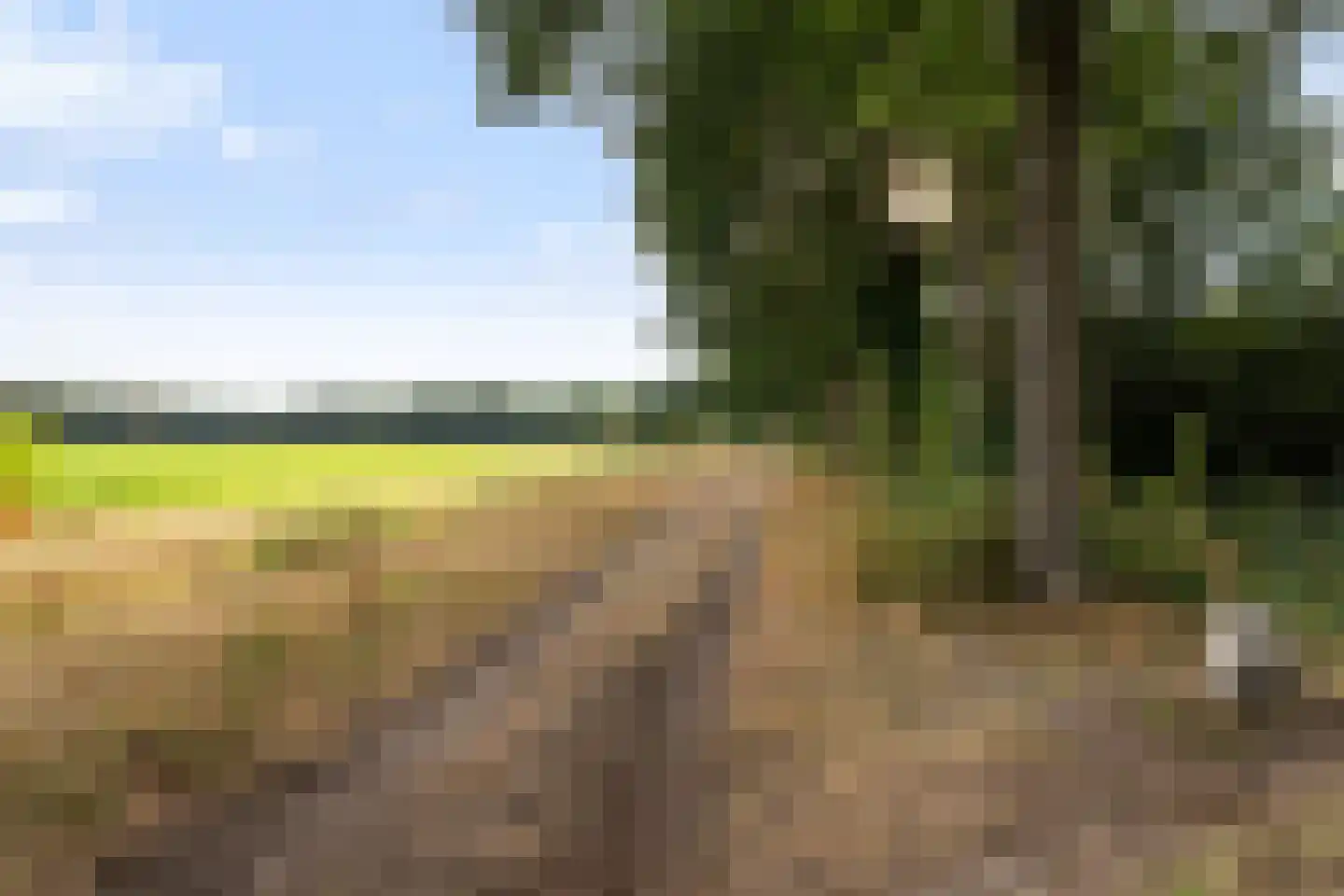 Boermaat 12 Westerbork thumbnail 48