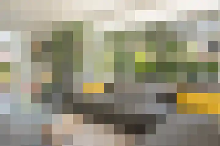 Boermaat 17 Westerbork thumbnail 12