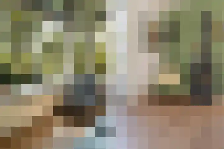 Boermaat 17 Westerbork thumbnail 13