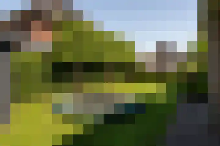 Boermaat 17 Westerbork thumbnail 32