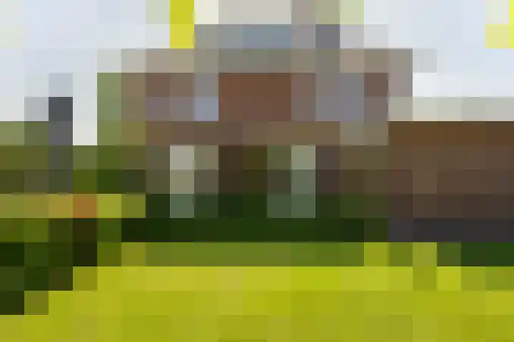 Boermaat 17 Westerbork thumbnail 33