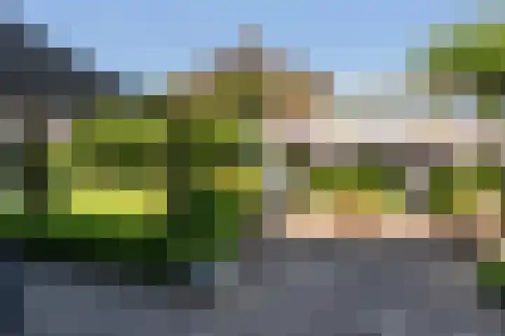 Boermaat 17 Westerbork thumbnail 34