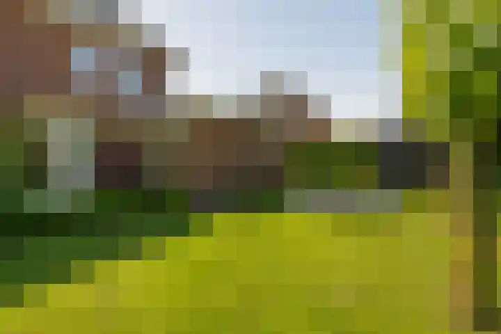 Boermaat 17 Westerbork thumbnail 35