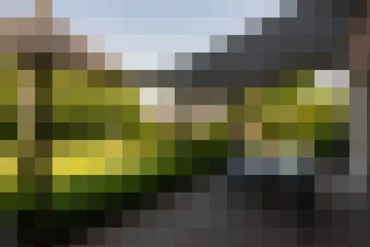 Boermaat 17 Westerbork thumbnail 36