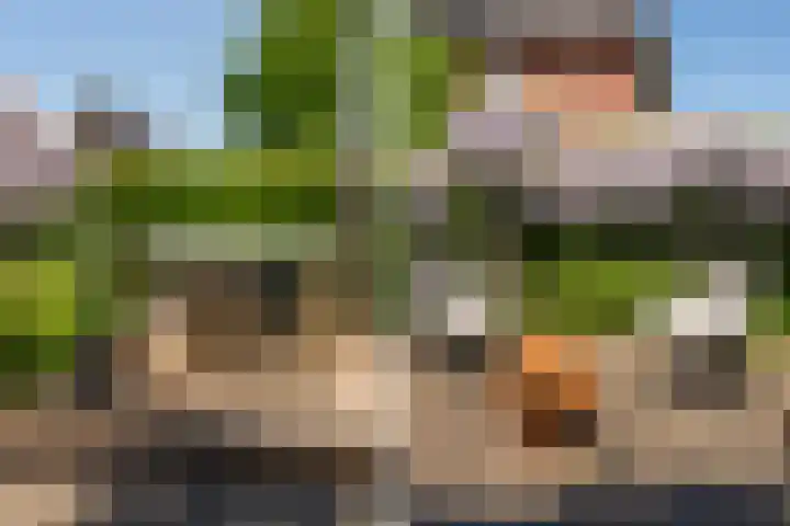 Boermaat 17 Westerbork thumbnail 37