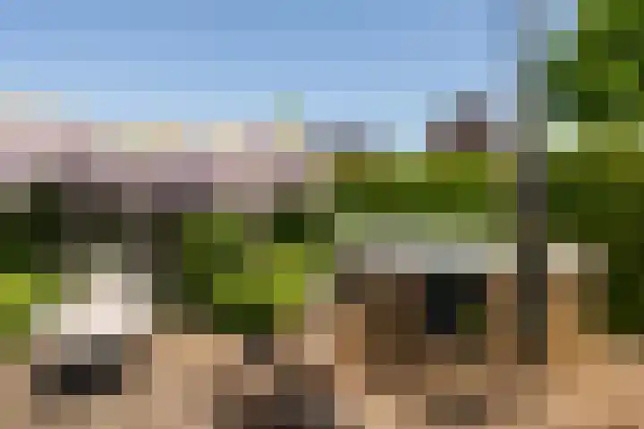 Boermaat 17 Westerbork thumbnail 38