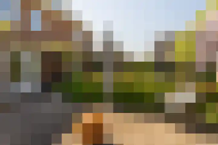 Boermaat 17 Westerbork thumbnail 40
