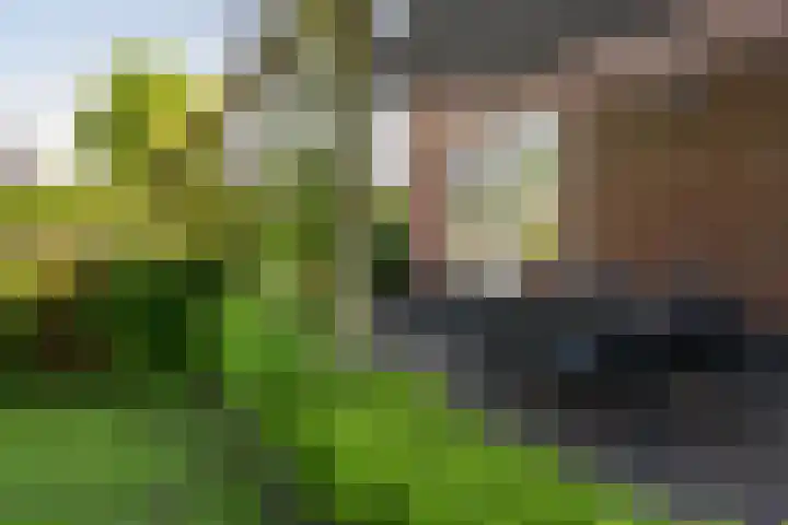 Boermaat 17 Westerbork thumbnail 41