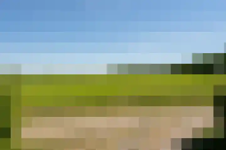 Boermaat 17 Westerbork thumbnail 43