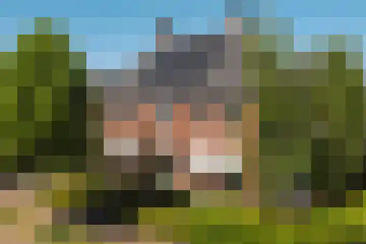 Boermaat 17 Westerbork thumbnail 46