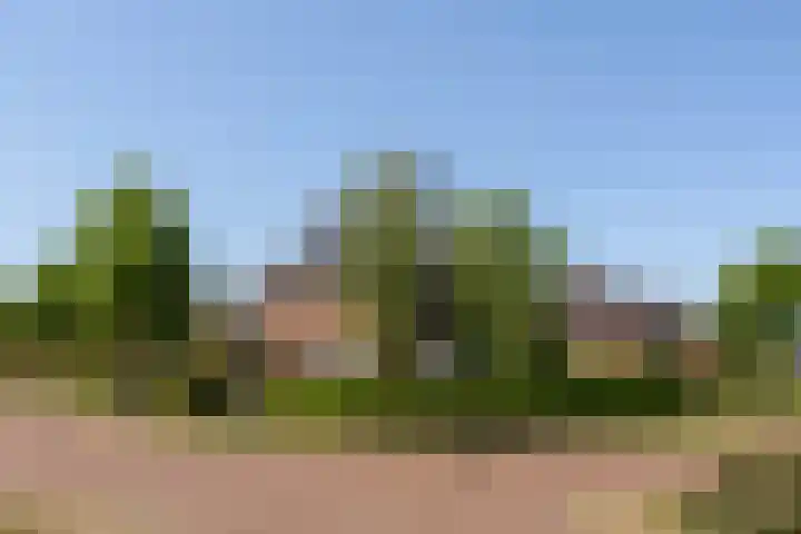 Boermaat 17 Westerbork thumbnail 47