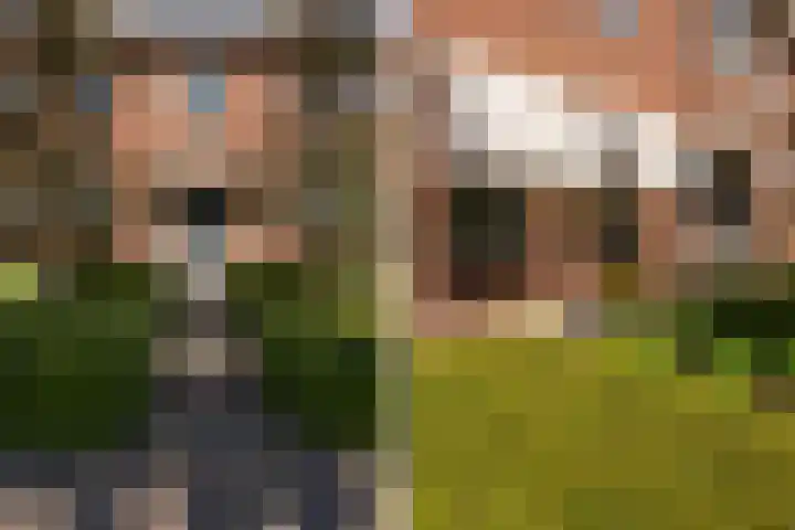 Boermaat 17 Westerbork thumbnail 50