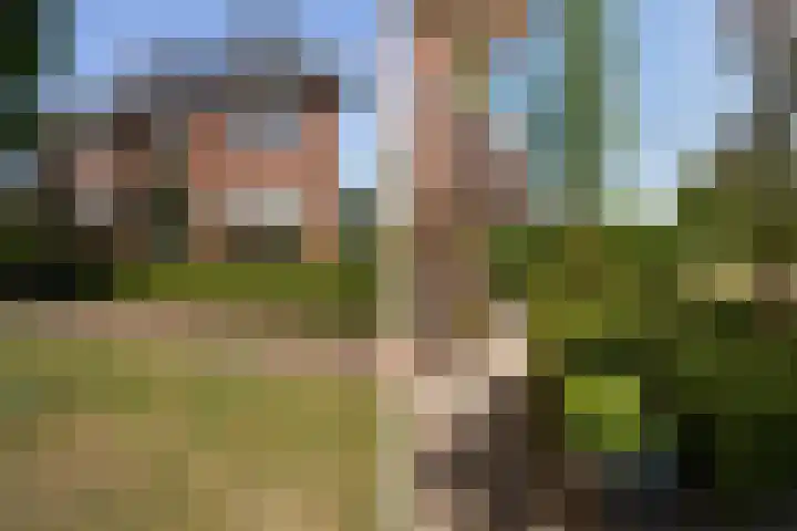 Boermaat 17 Westerbork thumbnail 52