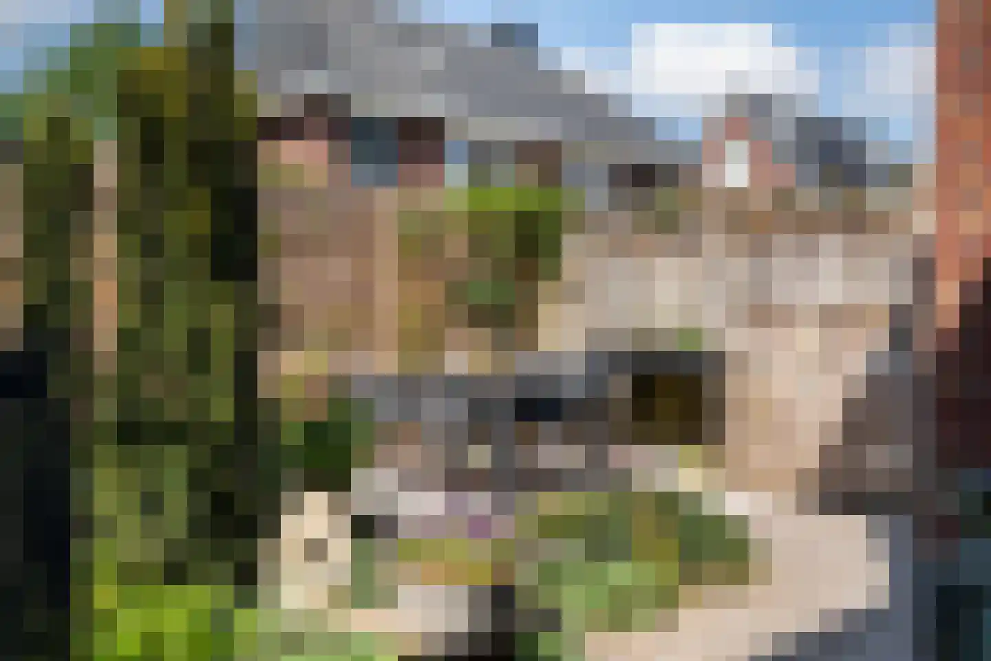 Boermaat 25 Westerbork thumbnail 33