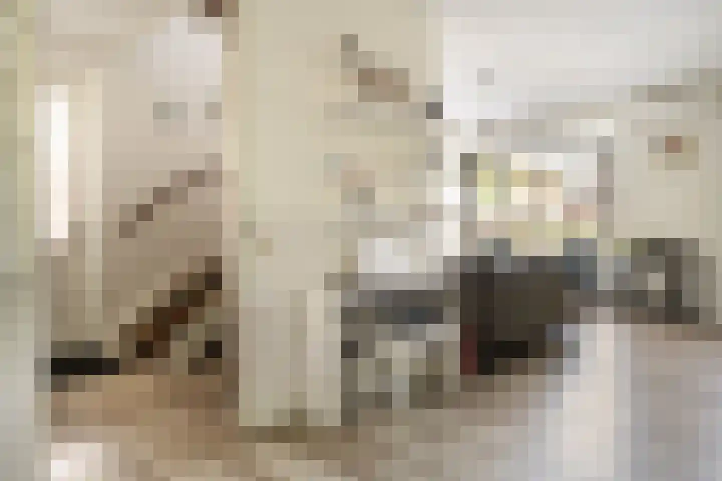Boermaat 25 Westerbork thumbnail 4