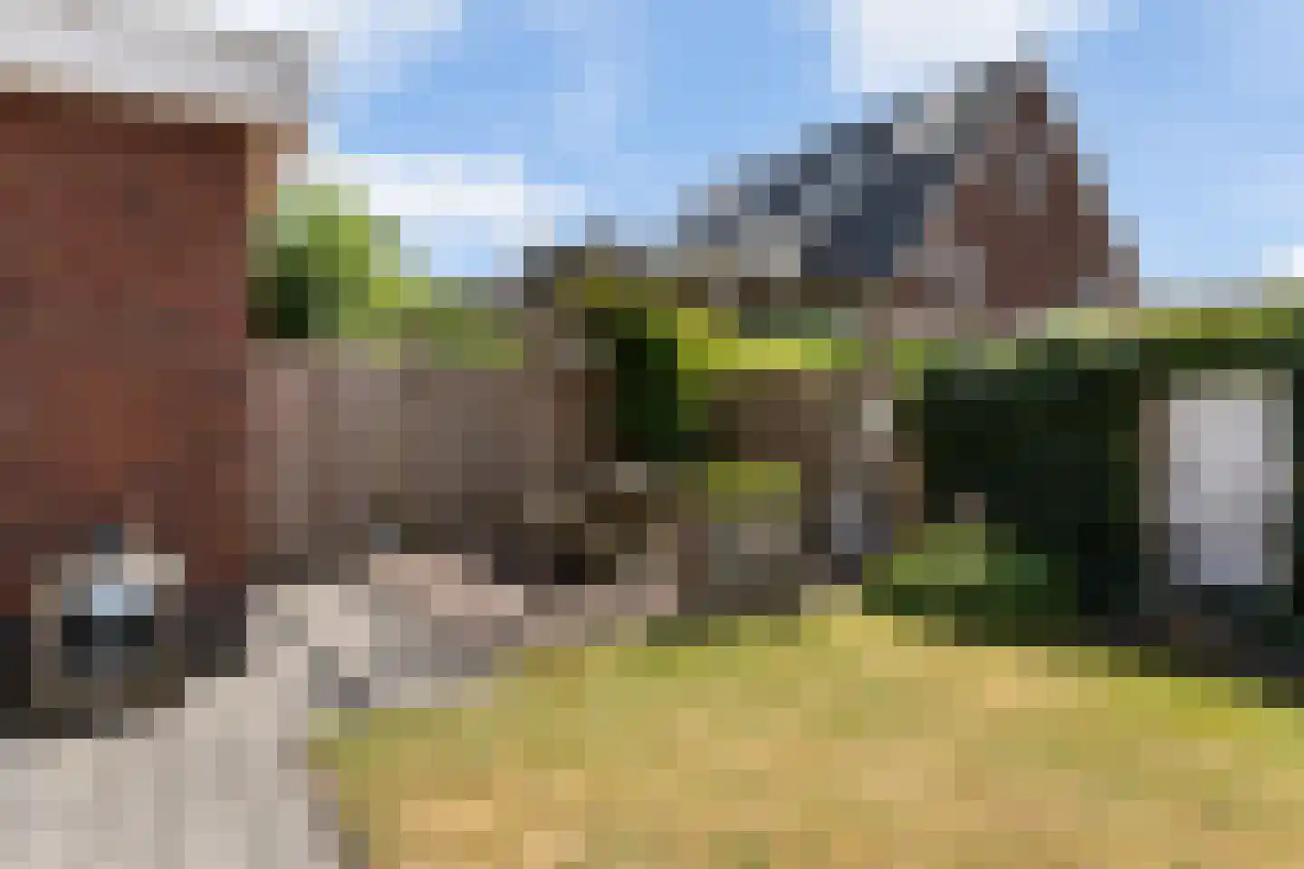 Boermaat 27 Westerbork thumbnail 33