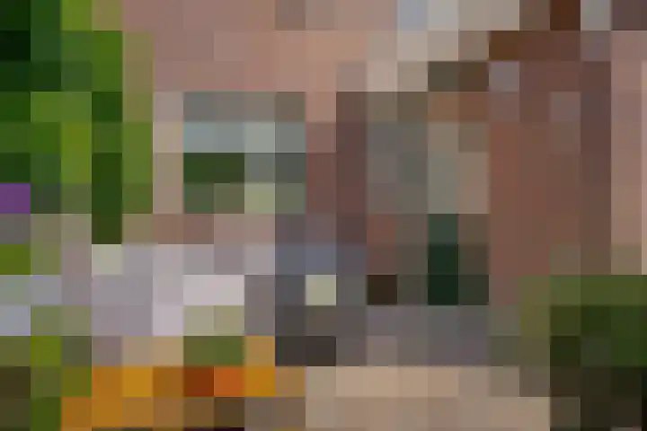 Boermaat 37 Westerbork thumbnail 21