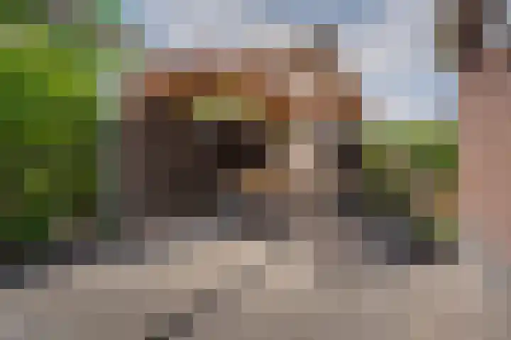 Boermaat 37 Westerbork thumbnail 22