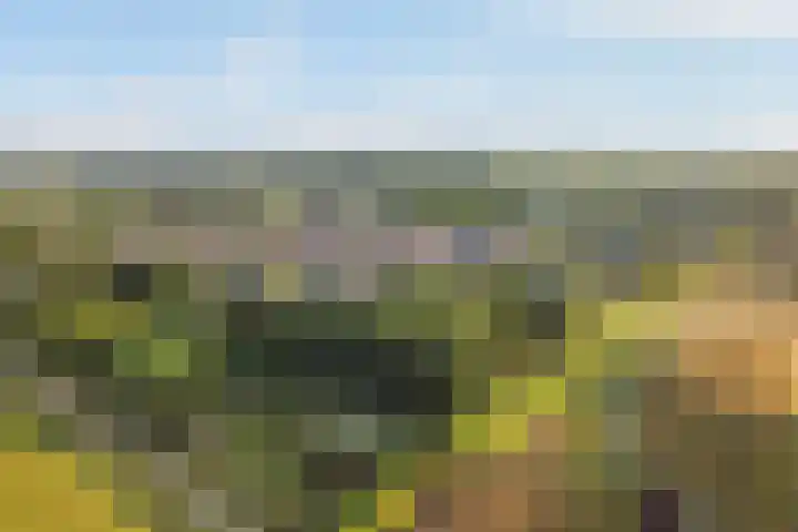 Boermaat 50 Westerbork thumbnail 32