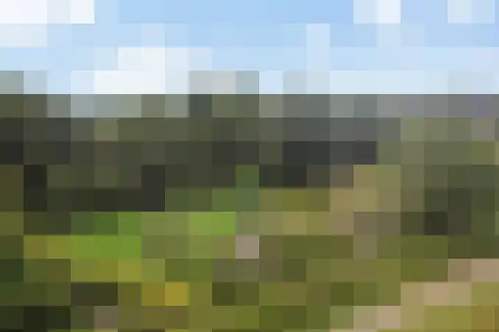 Boermaat 50 Westerbork thumbnail 34