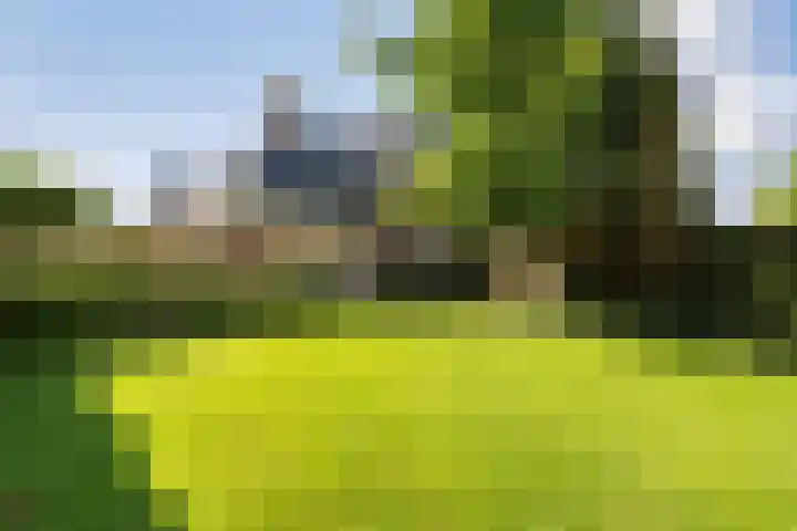 Boermaat 50 Westerbork thumbnail 39
