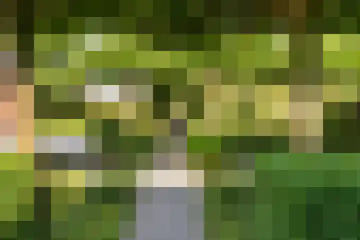 Boermaat 50 Westerbork thumbnail 40