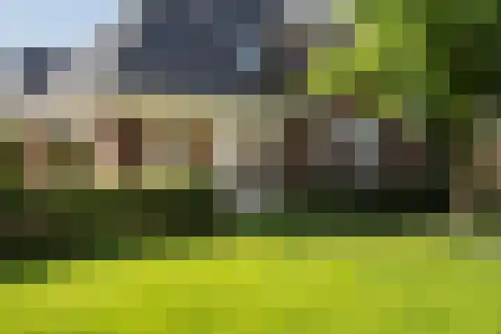 Boermaat 50 Westerbork thumbnail 41