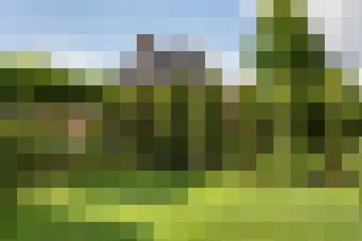 Boermaat 50 Westerbork thumbnail 46