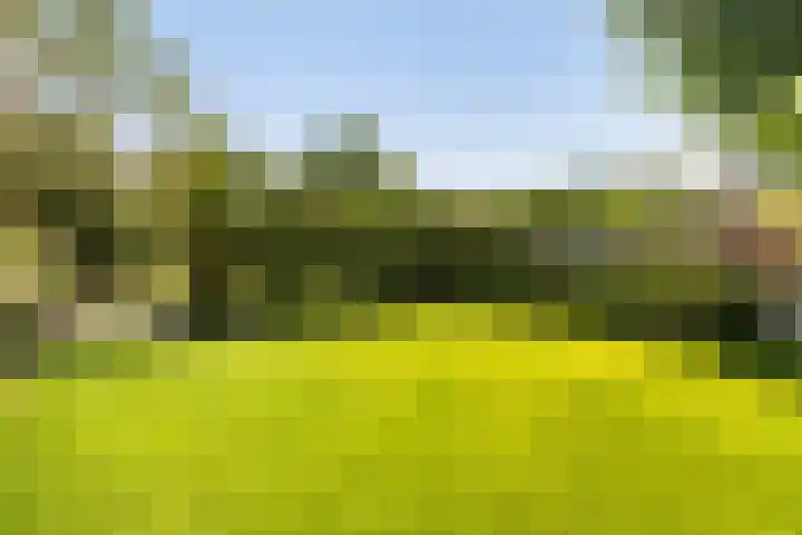Boermaat 50 Westerbork thumbnail 47