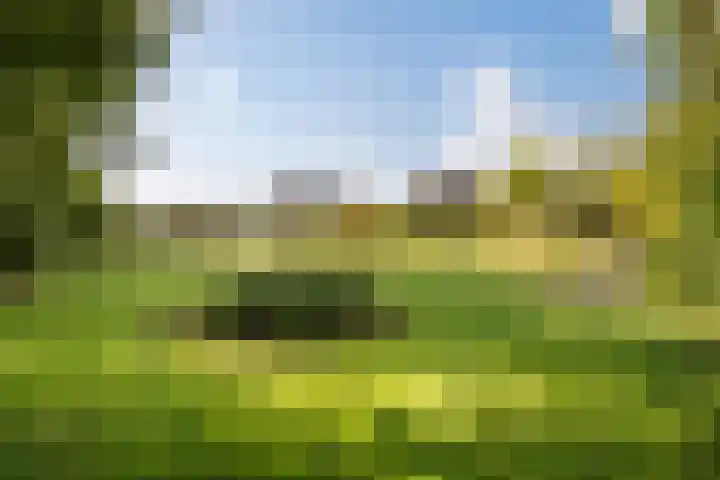 Boermaat 50 Westerbork thumbnail 48