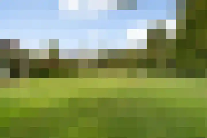 Boermaat 50 Westerbork thumbnail 49