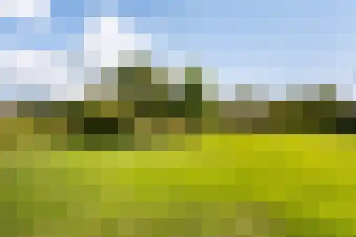 Boermaat 50 Westerbork thumbnail 51