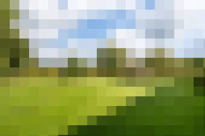 Boermaat 50 Westerbork thumbnail 53
