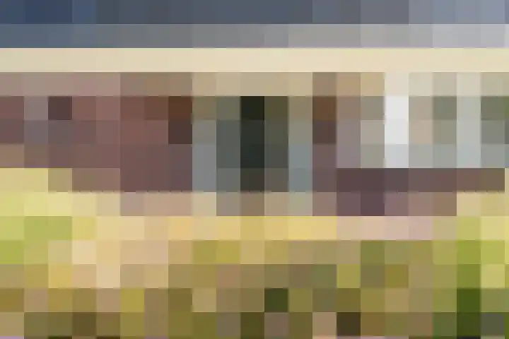 Boermaat 50 Westerbork thumbnail 55