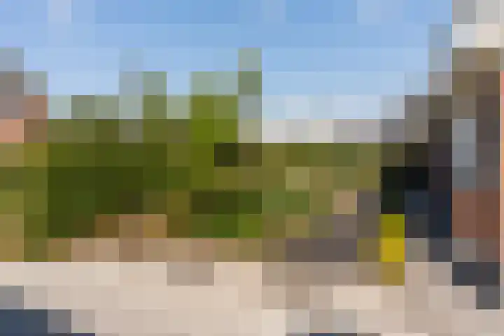 Boermaat 50 Westerbork thumbnail 56