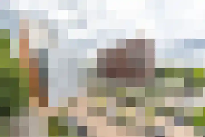Boermandestraat 20 Groningen thumbnail 21