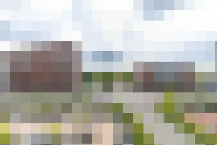 Boermandestraat 20 Groningen thumbnail 22