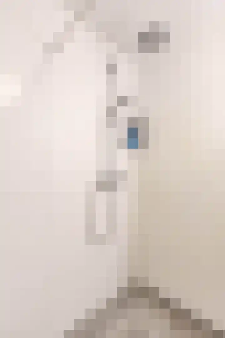 Boermandestraat 20 Groningen thumbnail 38