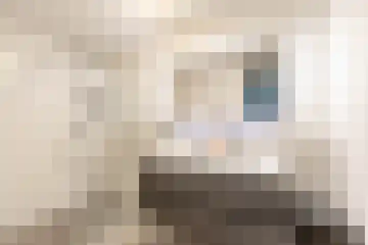 Boermandestraat 20 Groningen thumbnail 4