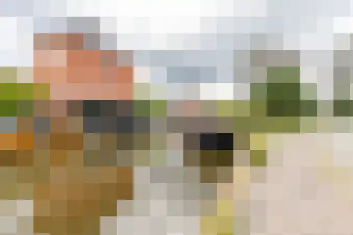 Boermandestraat 20 Groningen thumbnail 8