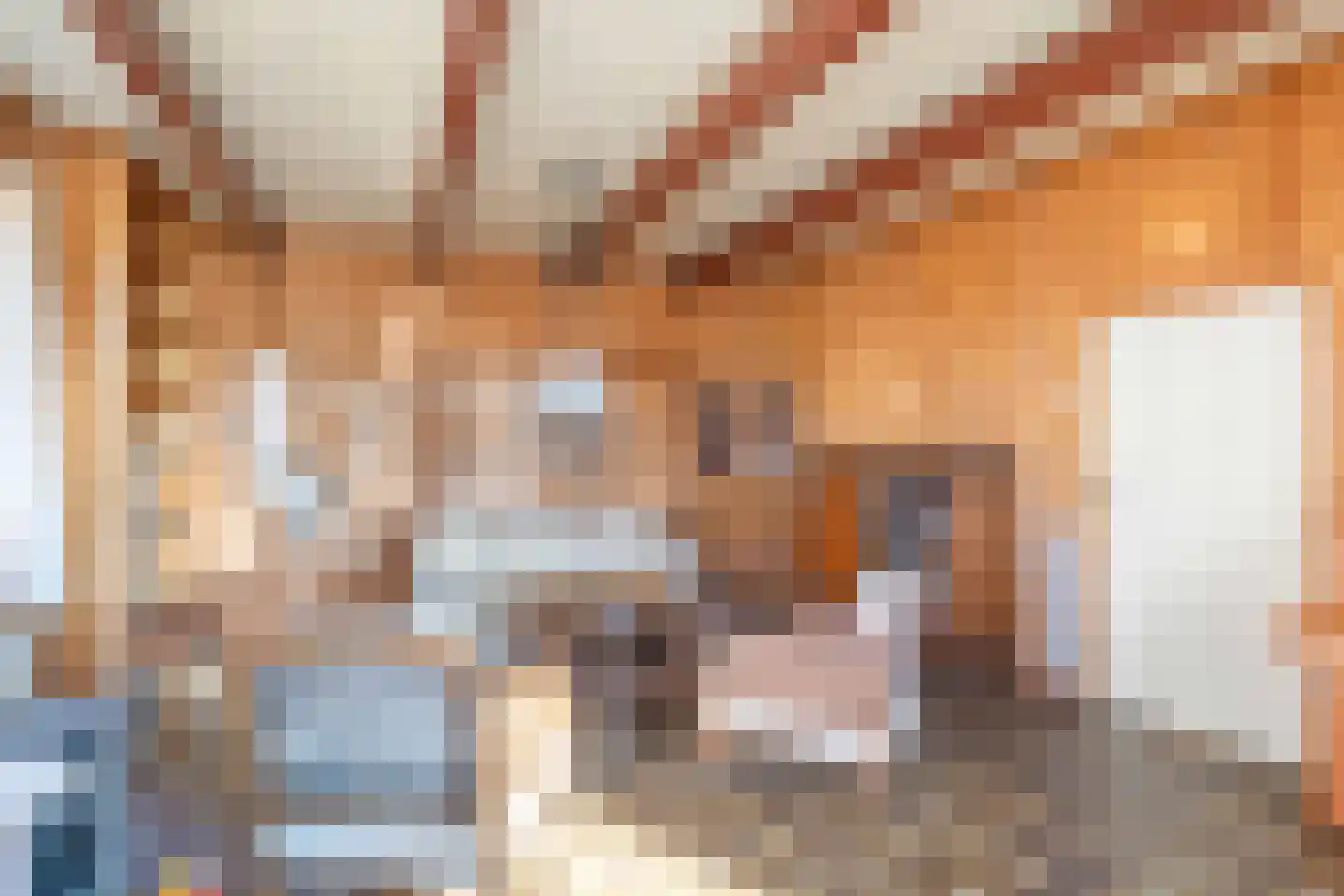 Boermanjeweg 25 Usquert thumbnail 10
