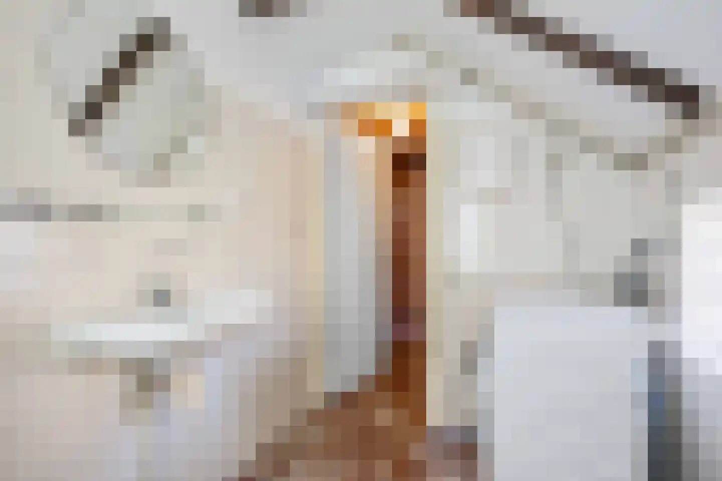 Boermanjeweg 25 Usquert thumbnail 19