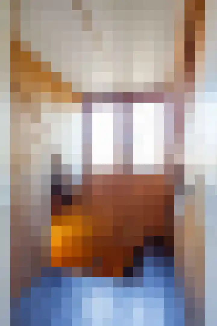 Boermanjeweg 25 Usquert thumbnail 28