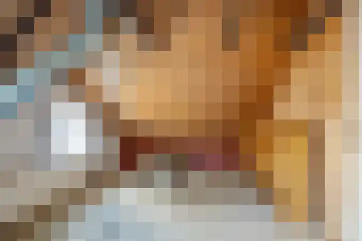 Boermanjeweg 25 Usquert thumbnail 32
