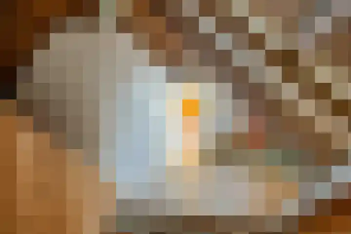 Boermanjeweg 25 Usquert thumbnail 34