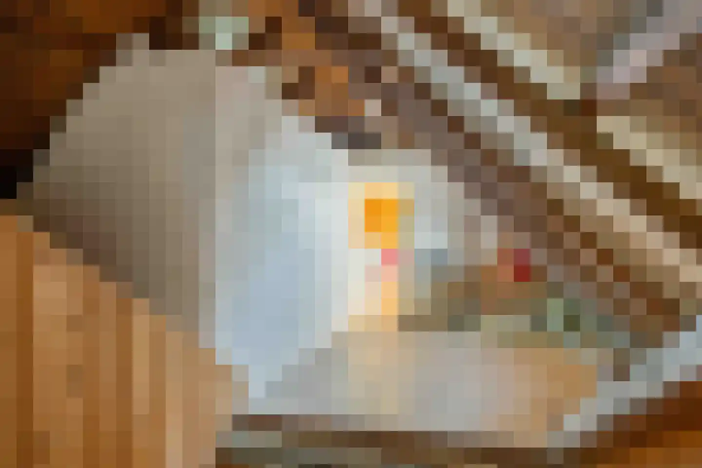 Boermanjeweg 25 Usquert thumbnail 34