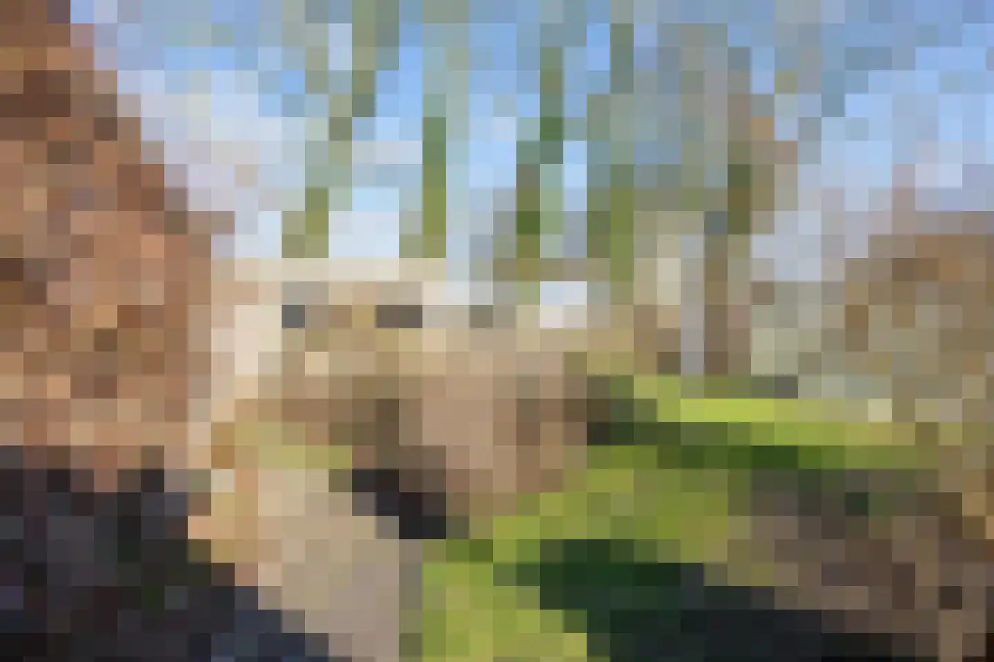 Boermanjeweg 25 Usquert thumbnail 38